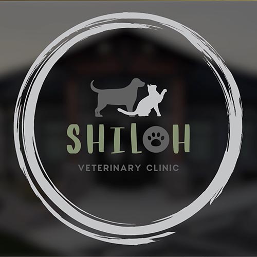 Shiloh Veterinary Clinic | 2021